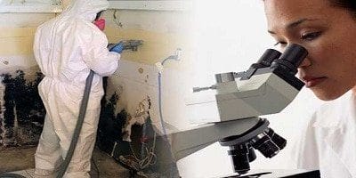 mold removal services in barrhaven